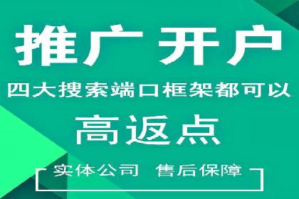 某电商平台的SEM优化全流程案例分享